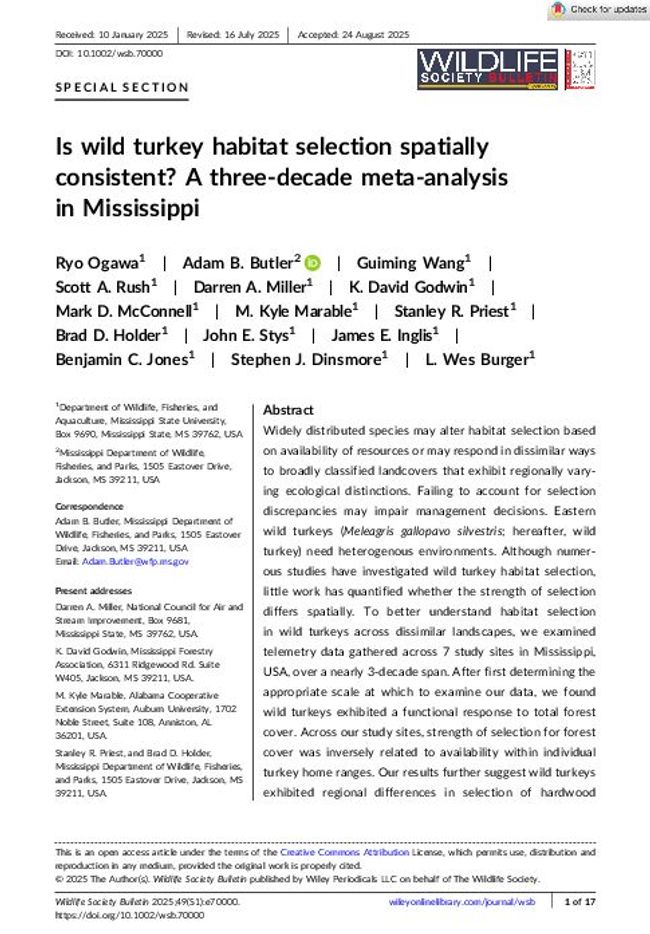 PDF document image preview