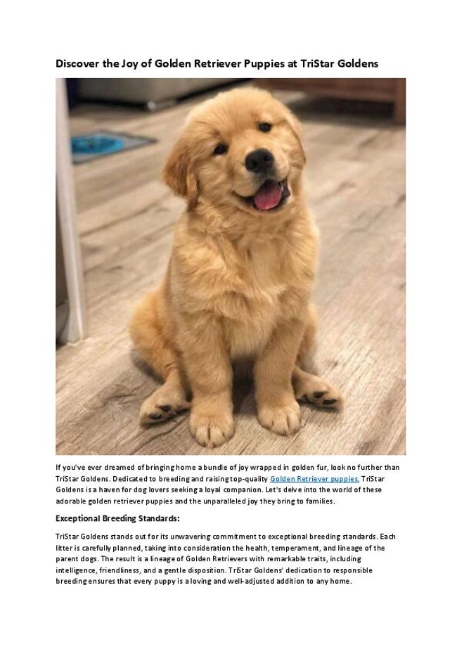 PDF document image preview