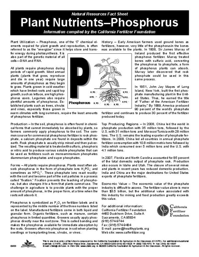 PDF document image preview