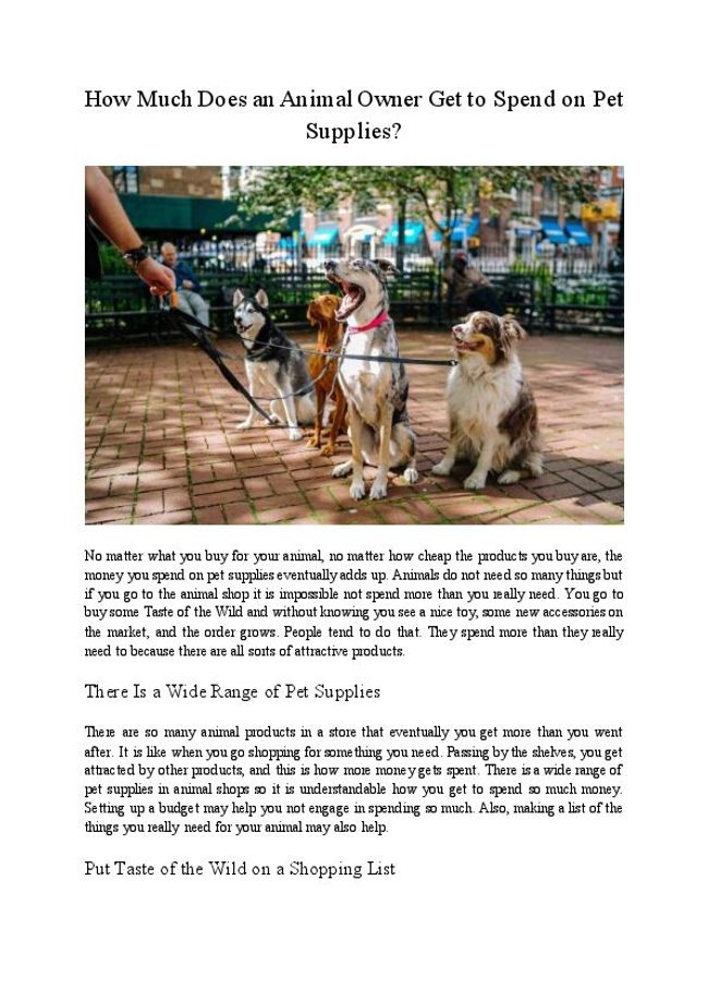 PDF document image preview