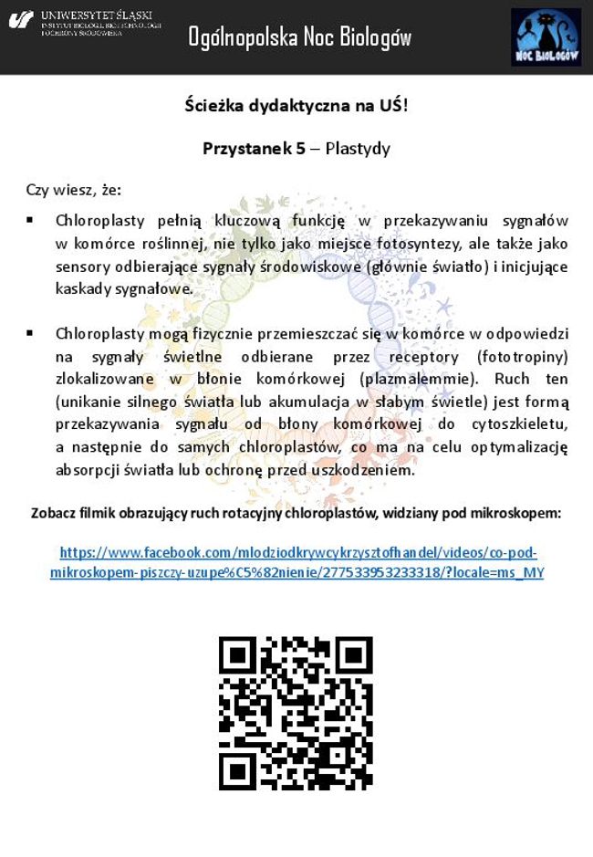 PDF document image preview