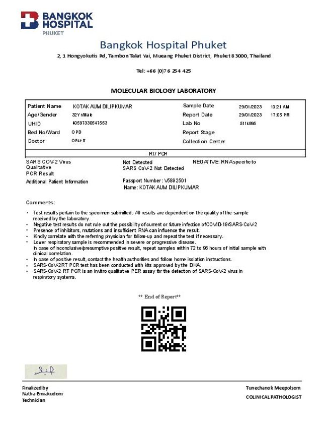 Visualização da imagem do documento PDF