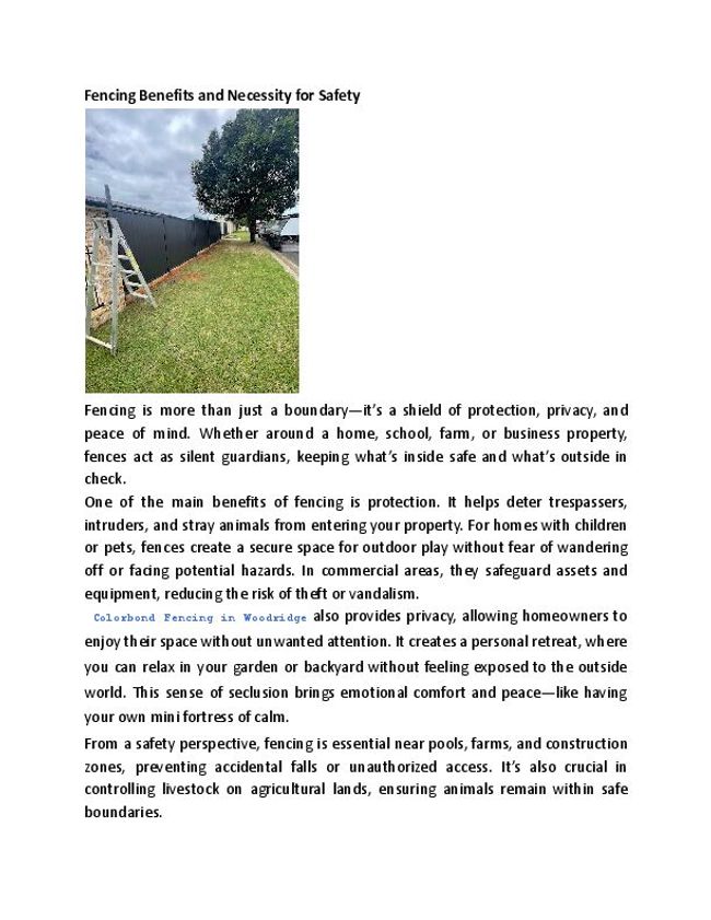 PDF document image preview