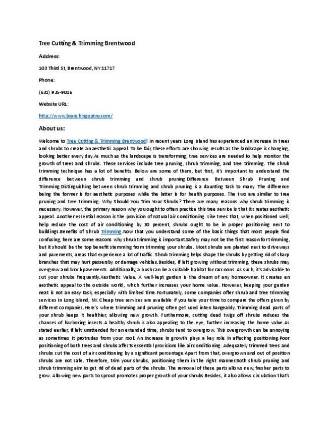 PDF document image preview