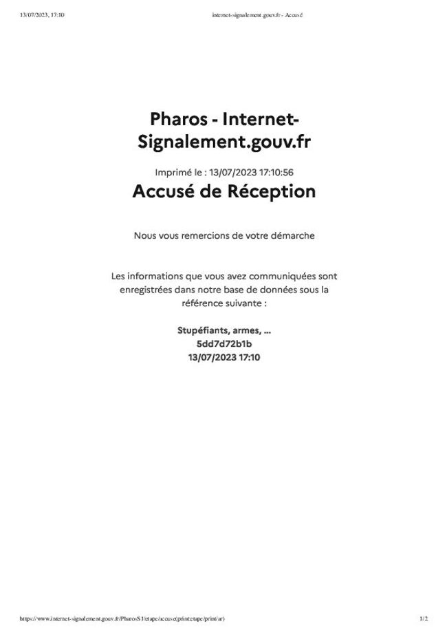 PDF document image preview