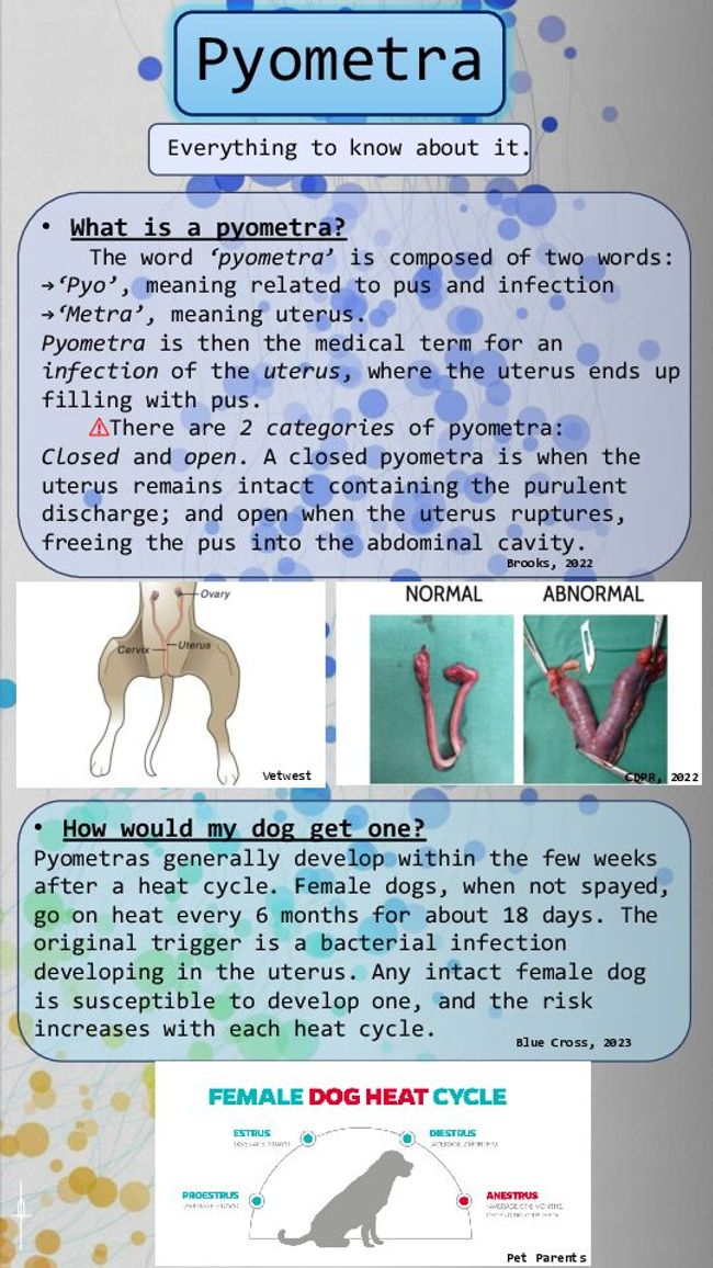 PDF document image preview