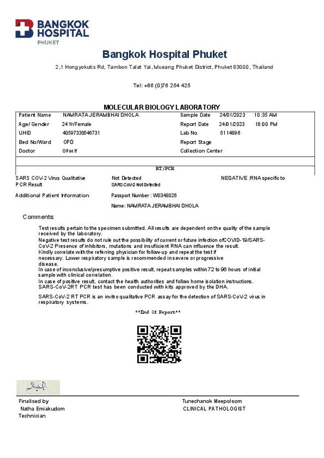 Visualização da imagem do documento PDF