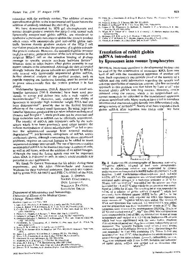 PDF 文件图像预览