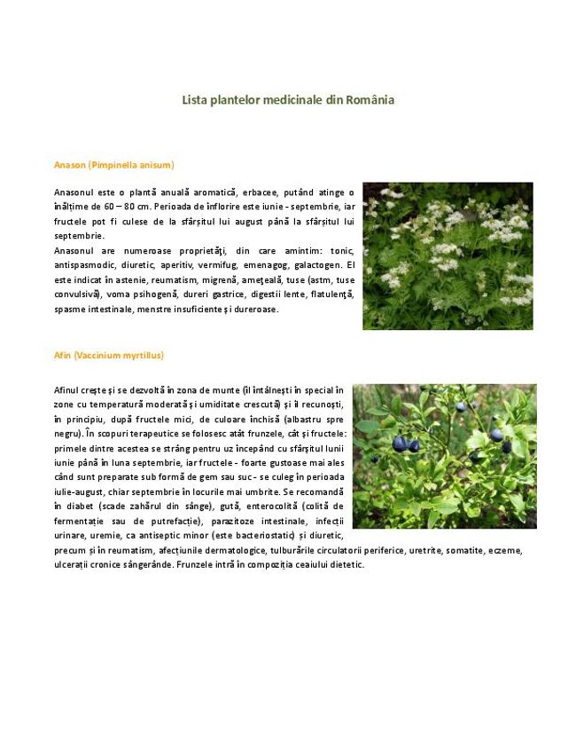 PDF document image preview