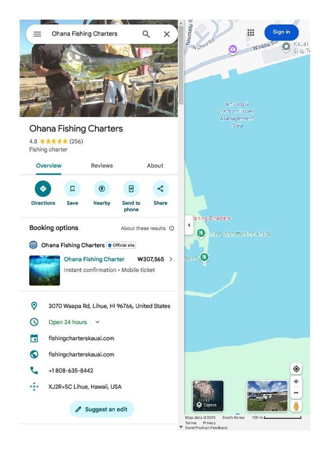 PDF document image preview