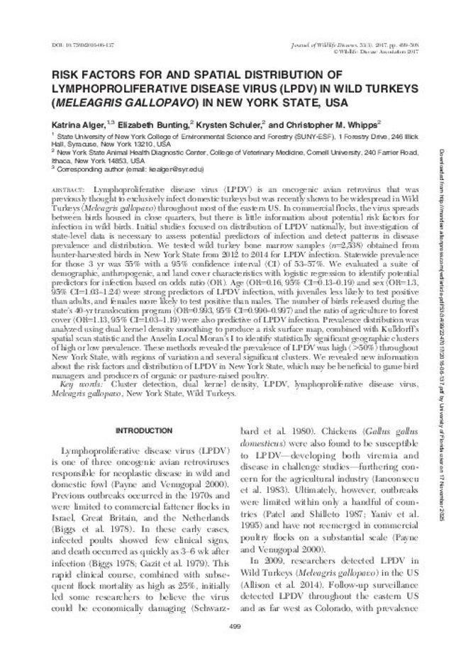 PDF document image preview