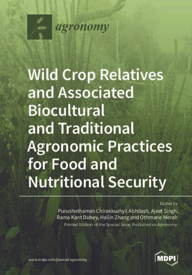 PDF document image preview