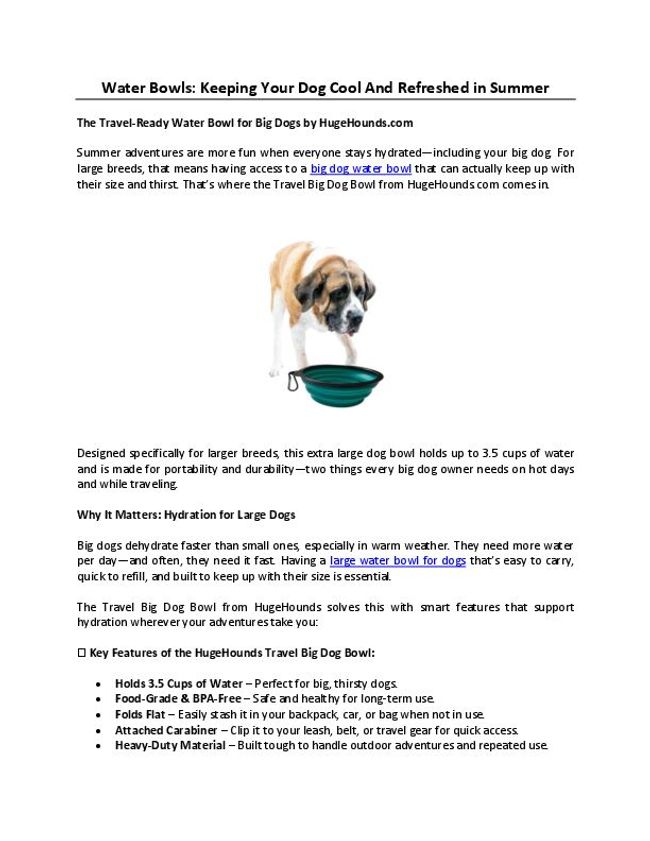 PDF document image preview