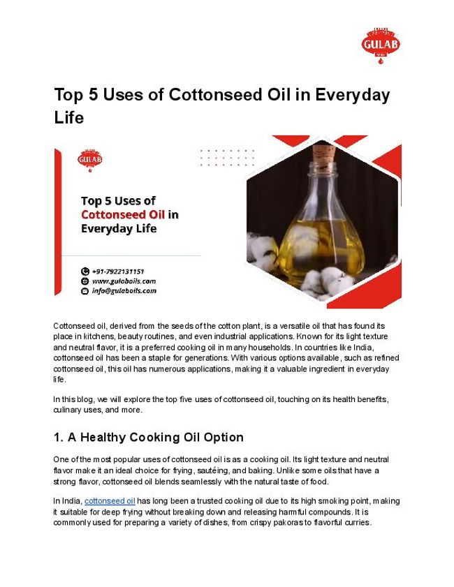 PDF document image preview