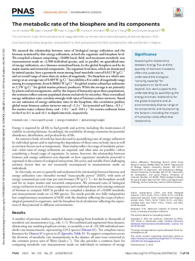 PDF document image preview