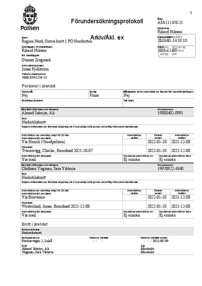 PDF document image preview