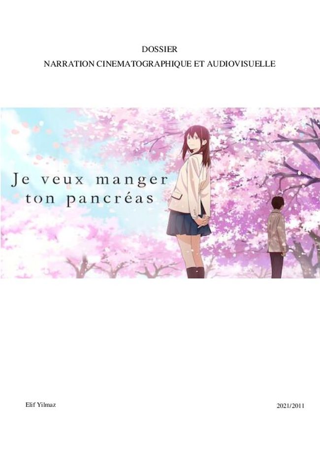 PDF document image preview