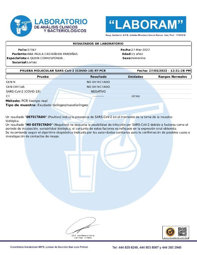 PDF document image preview