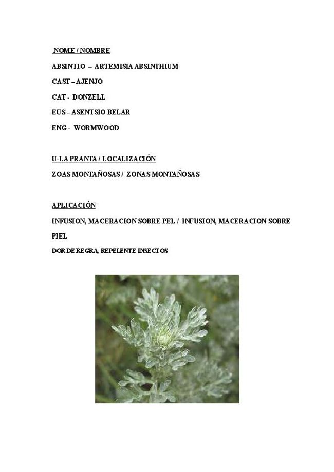 PDF document image preview