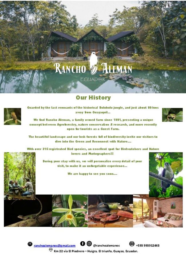 Prévisualiser un document PDF