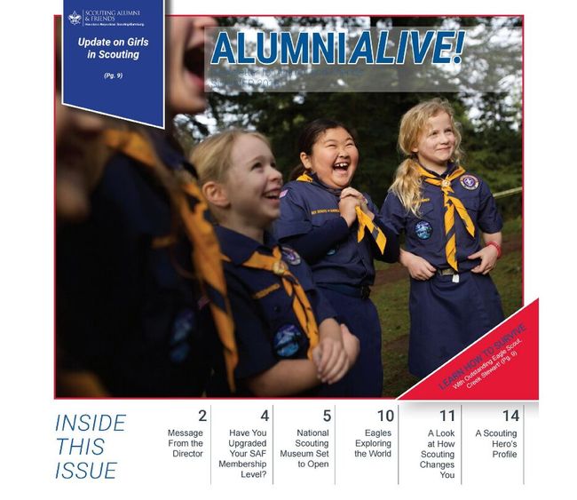 PDF document image preview