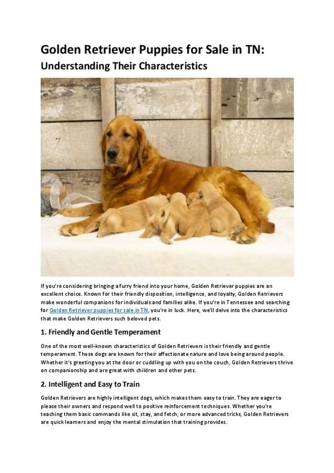 PDF document image preview