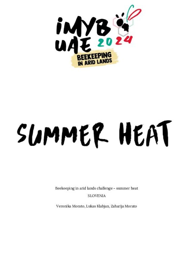 PDF document image preview