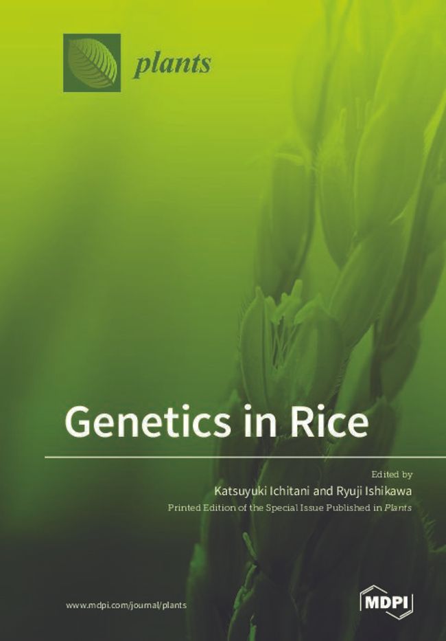 PDF document image preview