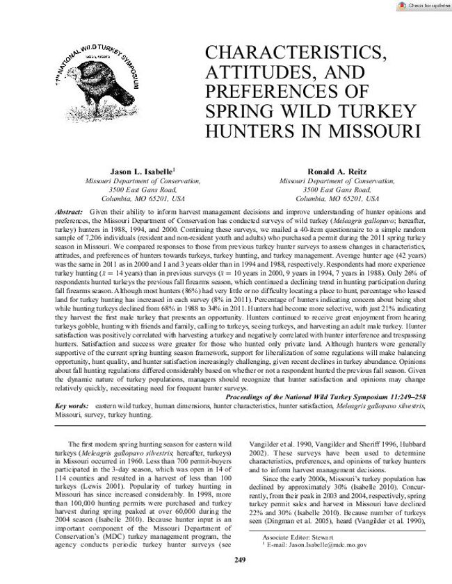 PDF document image preview