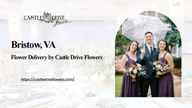 PDF document image preview