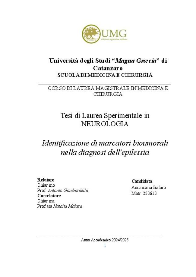 PDF document image preview
